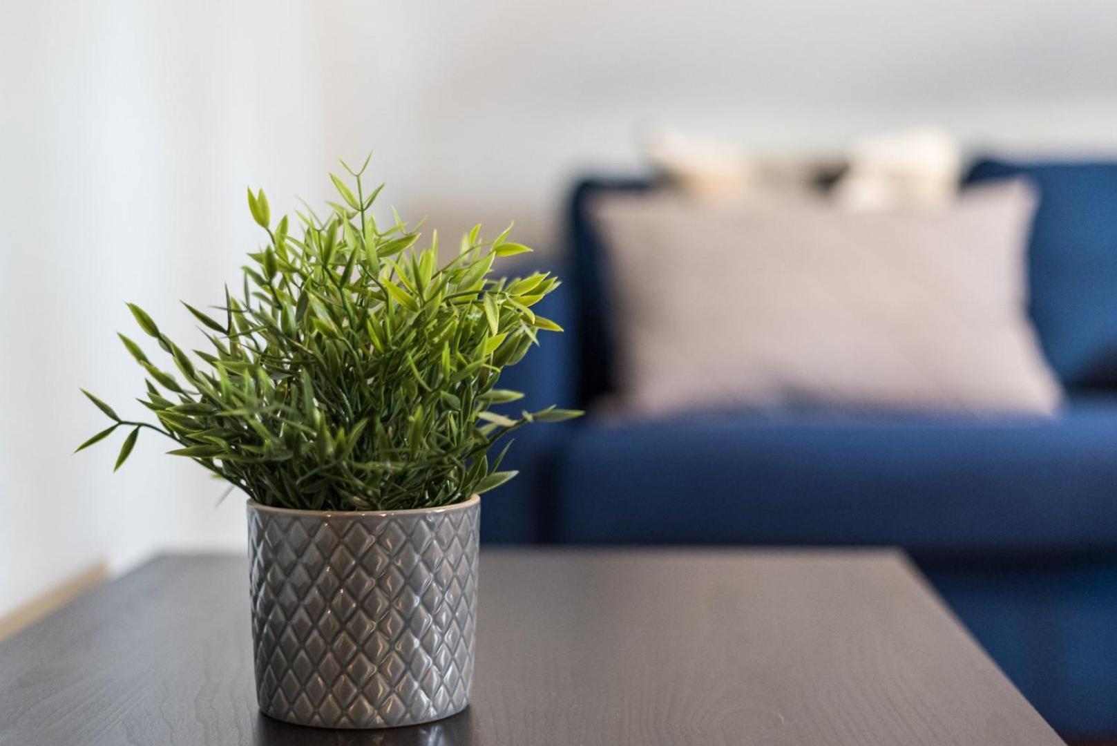 Guestready - Miragaia Rooftop بورتو المظهر الخارجي الصورة